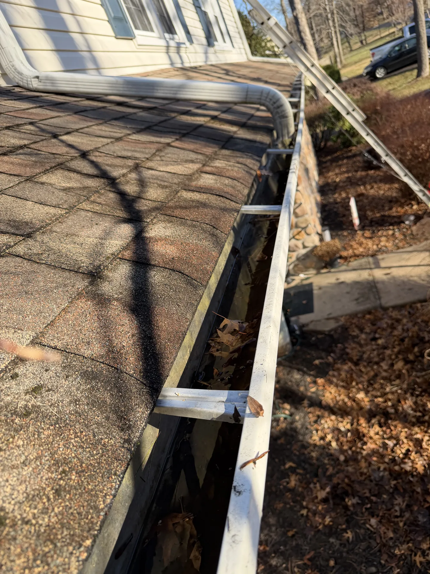 Damaged gutter fascia spotted during a routine cleaning