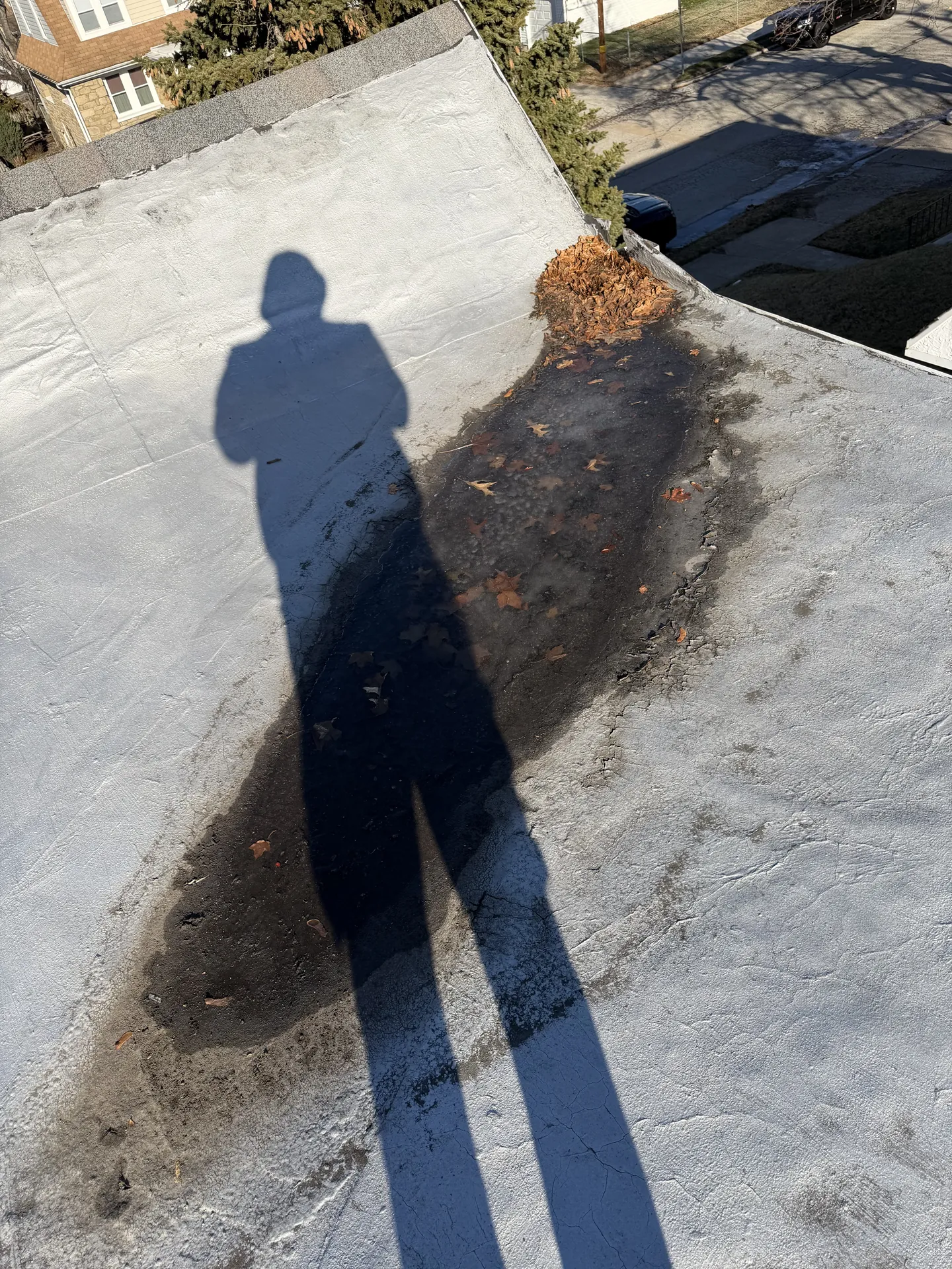 Crew member clearing leaves from a flat roof